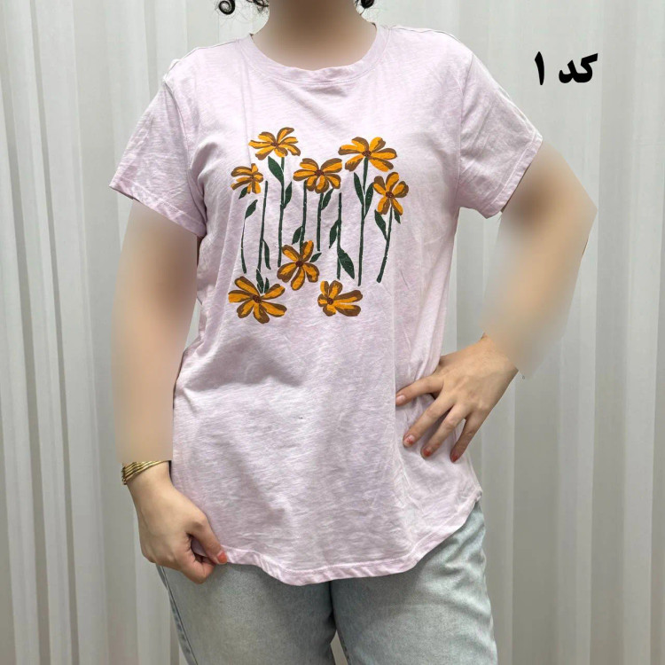 تیشرت طرحدار وارداتی کد 1174 سایزبندی کامل S تا XXXL بدون آبرفت و رنگ رفت