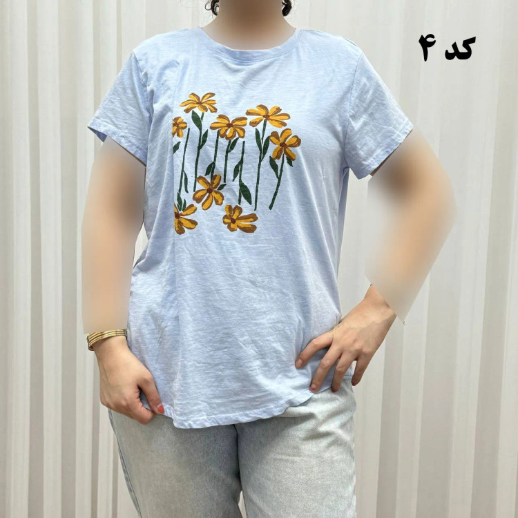 تیشرت طرحدار وارداتی کد 1174 سایزبندی کامل S تا XXXL بدون آبرفت و رنگ رفت