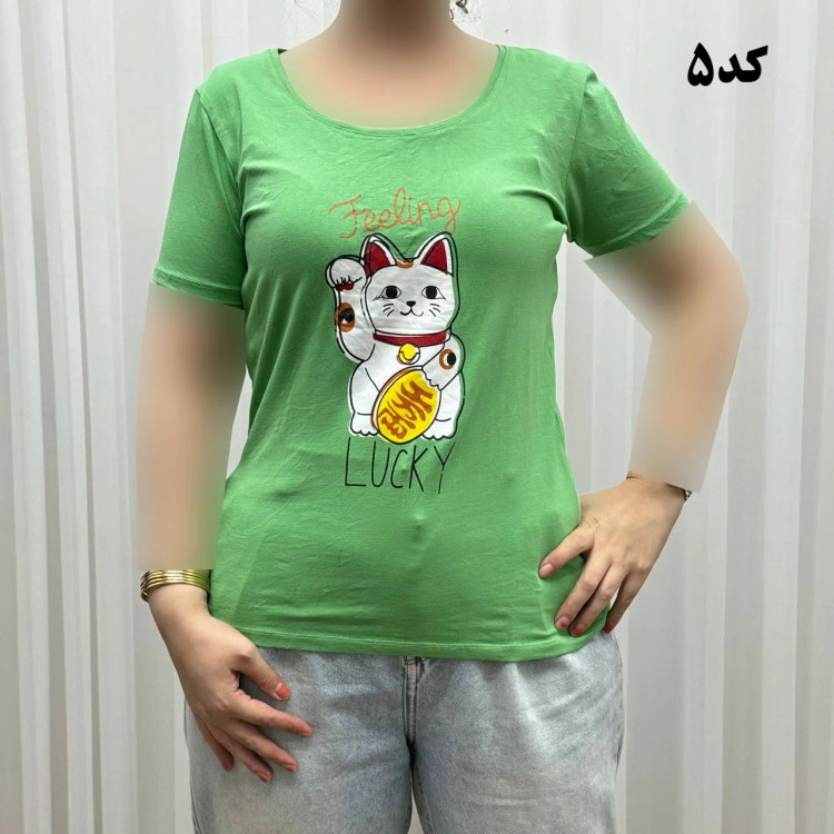 تیشرت نخ پنبه زنانه چهارفصل کد 1193 وارداتی تنخور راحت سایز بزرگ