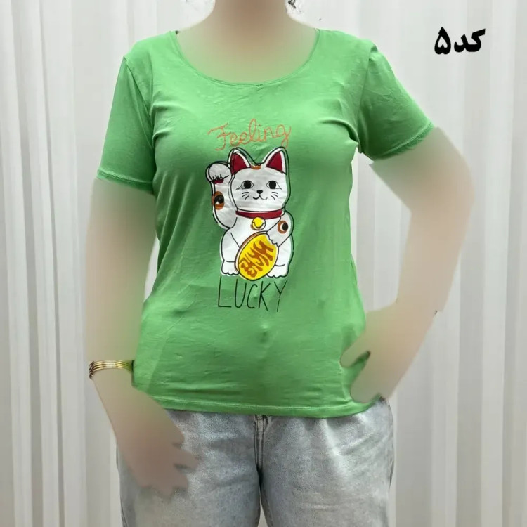 تیشرت نخ پنبه زنانه چهارفصل کد 1193 وارداتی تنخور راحت سایز بزرگ